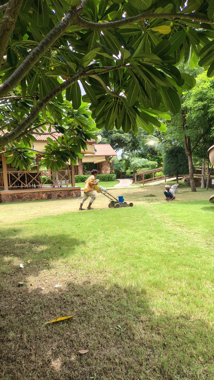 GreenLand Landscape gardener mowing a lawn during a scheduled maintenance visit