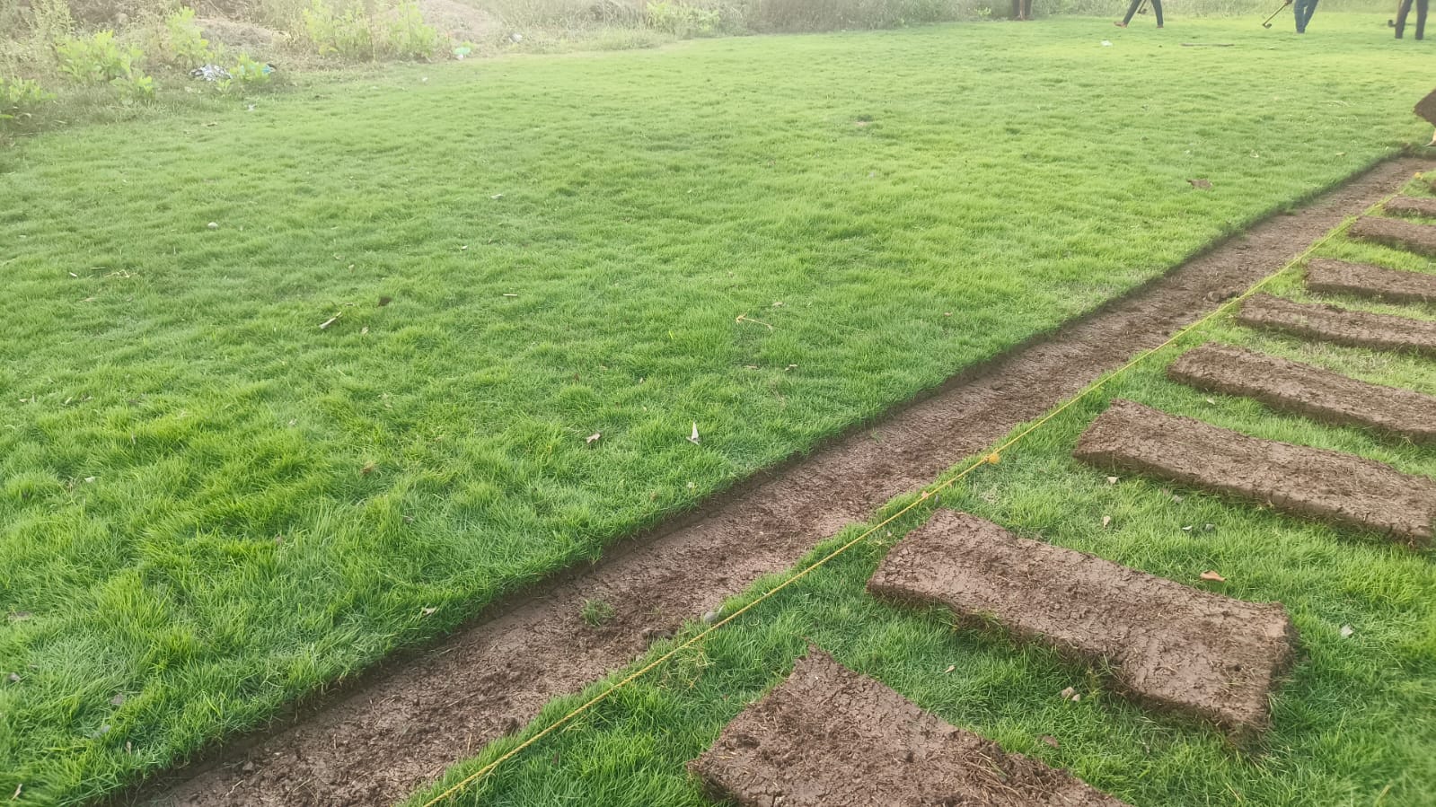 Freshly laid and mown lawn turf by GreenLand Landscape